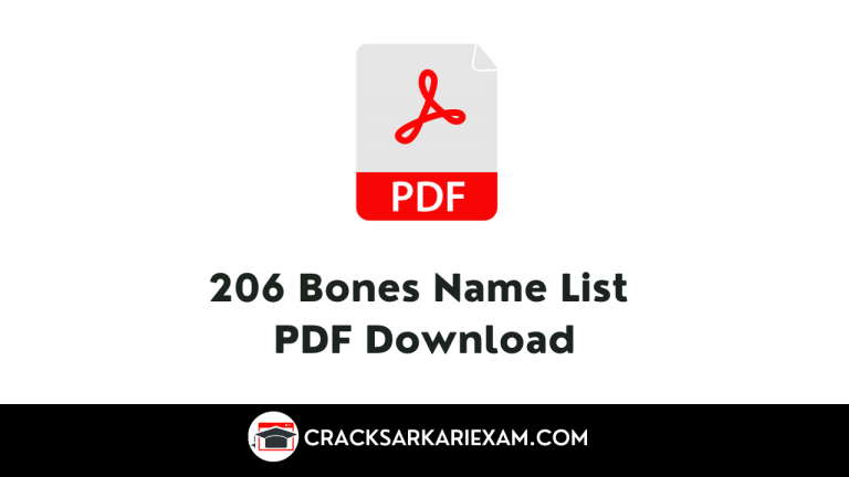 206 Bones Name List PDF Download